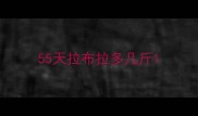 55天拉布拉多几斤