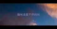 猫咪凌晨不停的叫