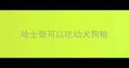 哈士奇可以吃幼犬狗粮