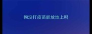 狗没打疫苗能放地上吗