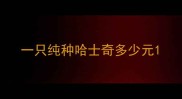 一只纯种哈士奇多少元