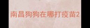 南昌狗狗在哪打疫苗