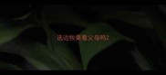 选边牧要看父母吗