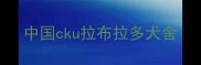 中国cku拉布拉多犬舍