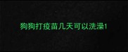 狗狗打疫苗几天可以洗澡