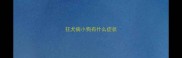 狂犬病小狗有什么症状