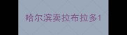 哈尔滨卖拉布拉多