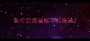 狗打完疫苗能不能洗澡