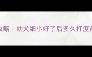 细小恢复期疫苗全攻略幼犬细小好了后多久打疫苗附专业兽医解答