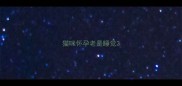 猫咪怀孕老是睡觉