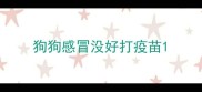 狗狗感冒没好打疫苗