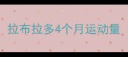 拉布拉多4个月运动量