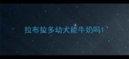 拉布拉多幼犬能牛奶吗