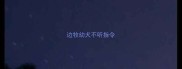 边牧幼犬不听指令