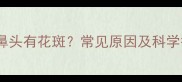 拉布拉多鼻头有花斑常见原因及科学护理指南