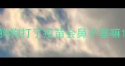狗狗打了疫苗会鼻子塞嘛