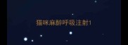 猫咪麻醉呼吸注射