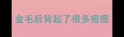 金毛后背起了很多痘痘