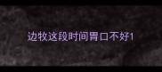 边牧这段时间胃口不好