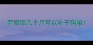 萨摩耶几个月可以吃干狗粮