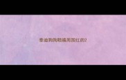 泰迪狗狗眼睛周围红的