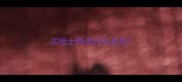 买哈士奇选什么毛色