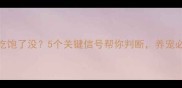狗狗吃饱了没5个关键信号帮你判断养宠必看
