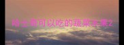 哈士奇可以吃的蔬菜水果