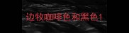 边牧咖啡色和黑色