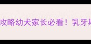 五个月拉布拉多牙齿护理全攻略幼犬家长必看乳牙期到恒牙期的科学养护指南