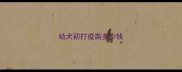 幼犬初打疫苗多少钱