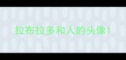 拉布拉多和人的头像