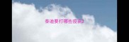 泰迪要打哪些疫苗