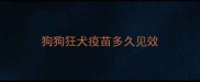狗狗狂犬疫苗多久见效
