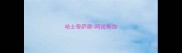 哈士奇萨摩阿拉斯加