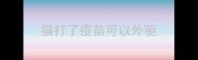 猫打了疫苗可以外驱