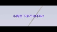 小狗生下来不动不叫