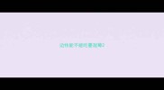 边牧能不能吃蔓越莓