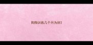 狗狗训练几个月为好