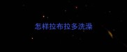 怎样拉布拉多洗澡