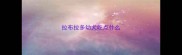拉布拉多幼犬吃点什么