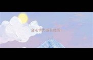 金毛幼犬成长经历