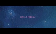 边牧六个月喂什么