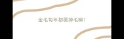 金毛每年都要掉毛嘛