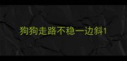 狗狗走路不稳一边斜