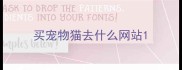 买宠物猫去什么网站