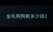 金毛狗狗粮多少钱