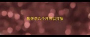 狗怀孕几个月可以打胎