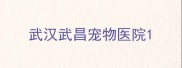 武汉武昌宠物医院