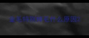 金毛特别掉毛什么原因